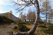 GIRO DEI CINQUE LAGHI sul sent. CAI 250 al RIF. GEMELLI da Carona il 26 ottobre 2017 - FOTOGALLERY